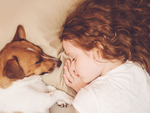 A young girl with curly hair and a white shirt is lying on a bed, asleep next to a small brown and white dog. Their faces are close together, and the dog’s paw touches her hand.